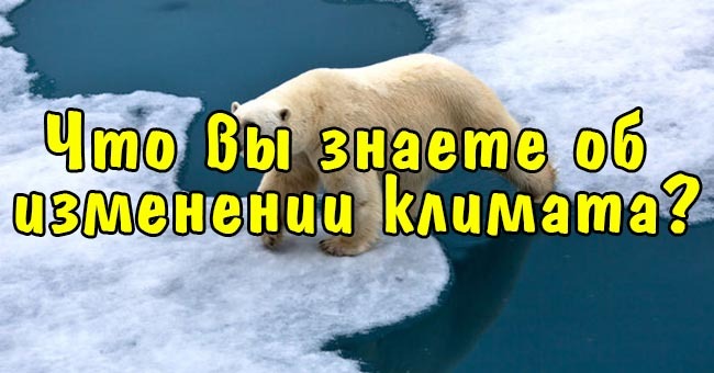 Что вы знаете об изменении климата?