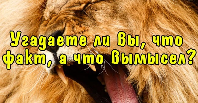 Угадаете ли вы, что факт, а что вымысел?