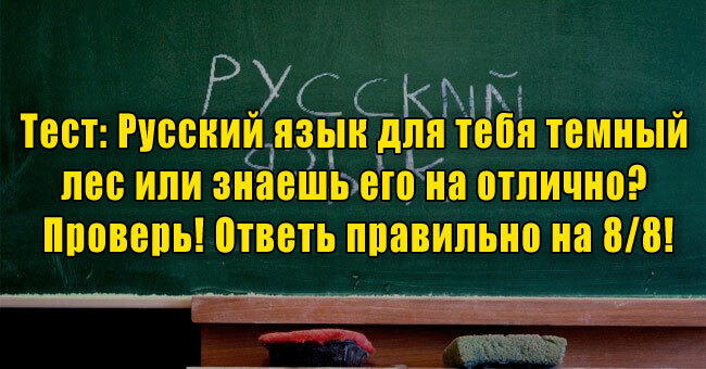 Русский язык для тебя темный лес или знаешь его на отлично? Проверь! Ответь правильно на 8/8!