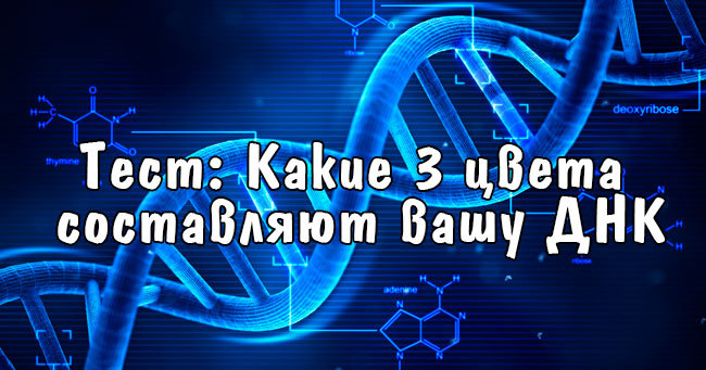 Какие 3 цвета составляют вашу ДНК?