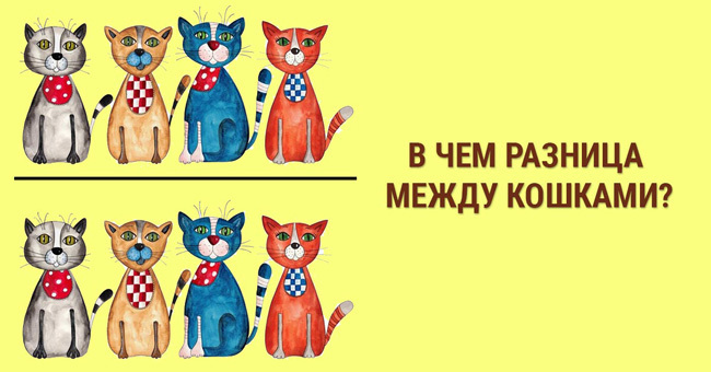 Тест на внимательность: проверьте себя при помощи специального изображения кошек