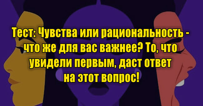 Чувства или рациональность - что же для вас важнее? То, что увидели первым, даст ответ на этот вопрос!