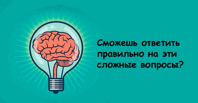 Проверьте свой интеллект с помощью 3 непростых вопросов на IQ