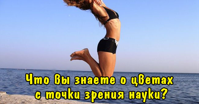 Что вы знаете о цветах с точки зрения науки?