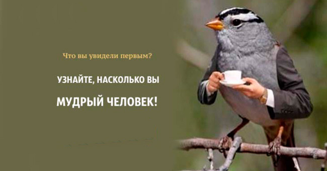  Первое, что вы заметите на картинке, покажет, насколько вы мудры
