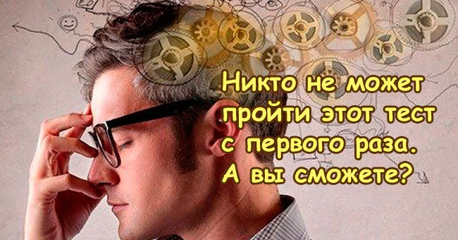 Только высокоинтеллектуальный человек сумеет набрать максимальный балл в этом тесте