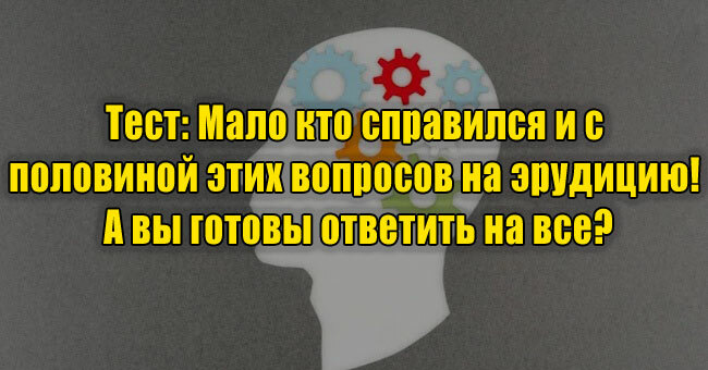 Мало кто справился и с половиной этих вопросов на эрудицию! А вы готовы ответить на все?