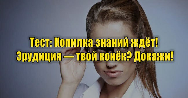 Копилка знаний ждёт! Эрудиция — твой конёк? Докажи!