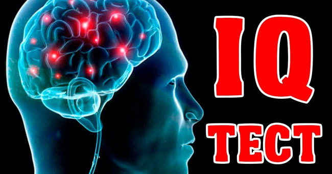 Лишь немногие проходят без ошибок этот сложный тест на уровень IQ