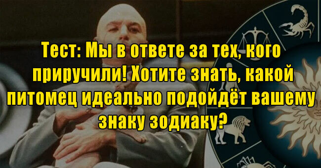 Мы в ответе за тех, кого приручили! Хотите знать, какой питомец идеально подойдёт вашему знаку зодиаку?