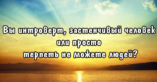 Вы интроверт, застенчивый человек или просто терпеть не можете людей?