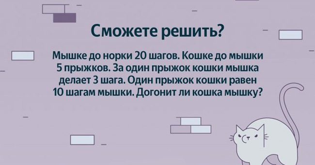 Сможет ли мышка догнать кошку?