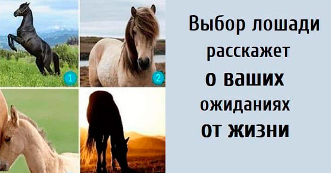 Выбор лошади расскажет о ваших ожиданиях от жизни