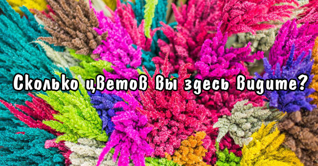 Проверьте свою наблюдательность.