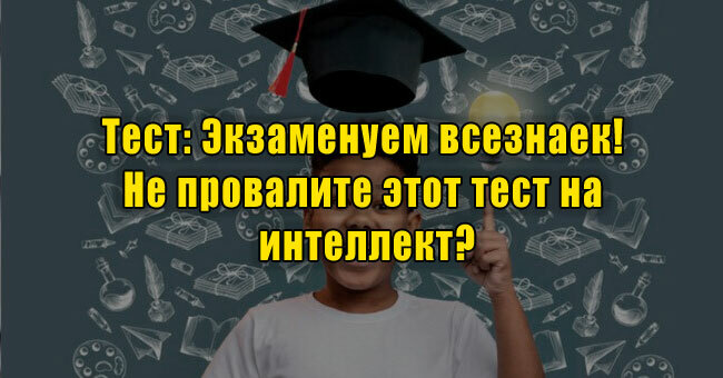 Экзаменуем всезнаек! Не провалите этот тест на интеллект?