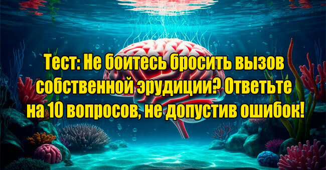 Не боитесь бросить вызов собственной эрудиции? Ответьте на 10 вопросов, не допустив ошибок!