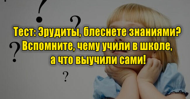 Эрудиты, блеснете знаниями? Вспомните, чему учили в школе, а что выучили сами!