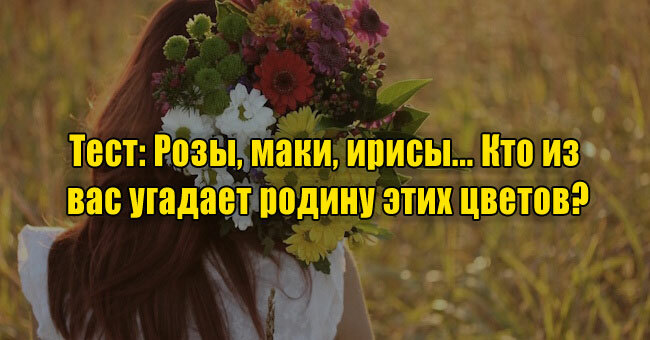 Розы, маки, ирисы... Кто из вас угадает родину этих цветов?