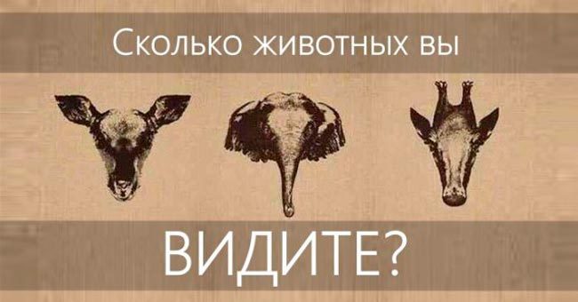 Тест на нестандартное мышление и внимание