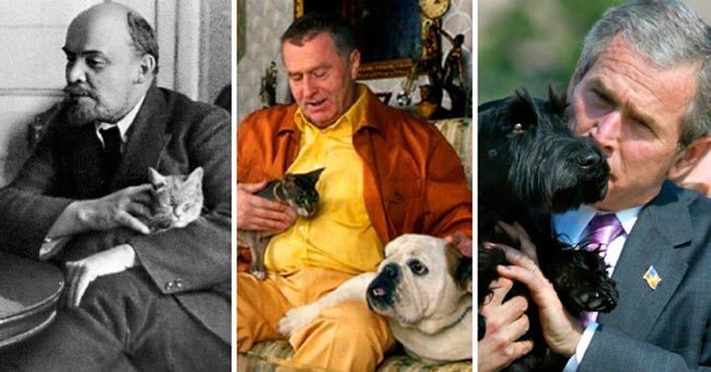 Знаменитости и их домашние питомцы. Проверьте свое шестое чувство
