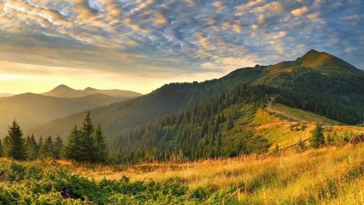 Какая из перечисленных горных систем наиболее высокая?