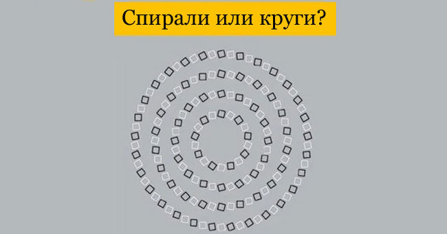 Только человек с высоким уровнем интеллекта сможет правильно ответить на все эти 11 логических вопросов