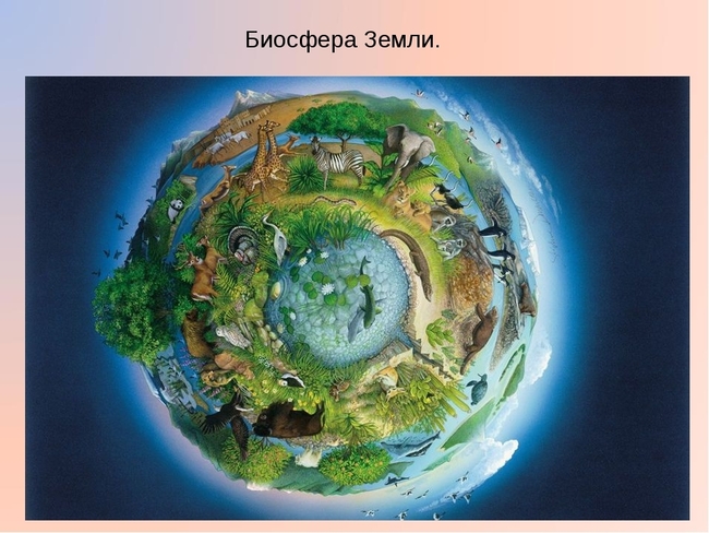 Организмы, обеспечивающие нас кислородом.