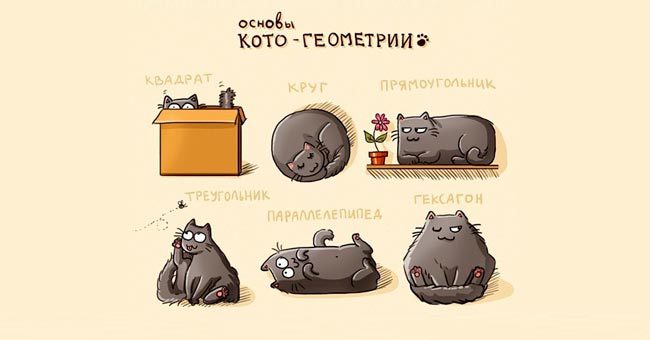 Вы точно не учились в школе, если не сможете назвать все 12 геометрических фигур