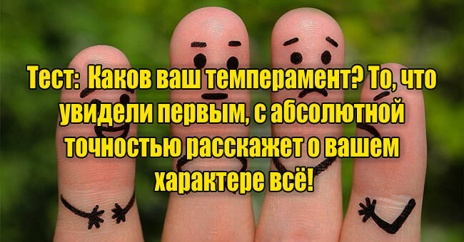 Каков ваш темперамент? То, что увидели первым, с абсолютной точностью расскажет о вашем характере всё!