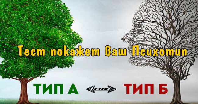 Тест: Какой тип поведения присущ вам?