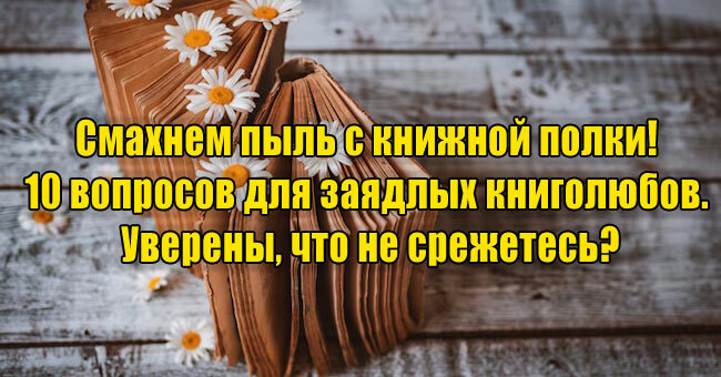 Смахнем пыль с книжной полки! 10 вопросов для заядлых книголюбов. Уверены, что не срежетесь?