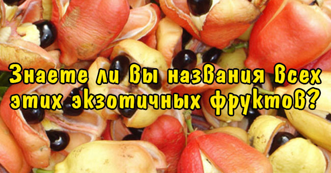 Знаете ли вы названия всех этих экзотичных фруктов?