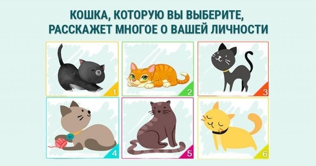 Тест - Выбери своего котенка в этом тесте и узнай о себе кое-что интересное