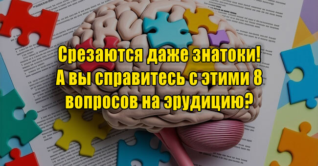 Срезаются даже знатоки! А вы справитесь с этими 8 вопросов на эрудицию? 