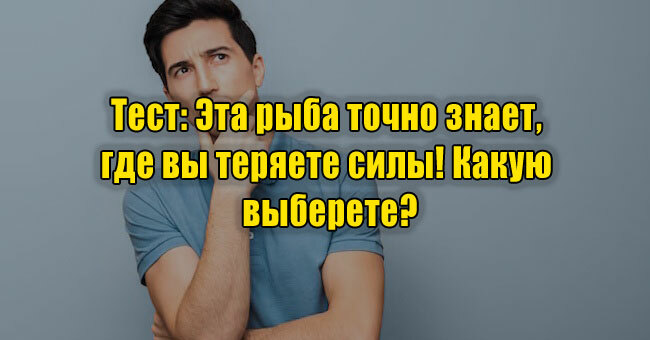 Эта рыба точно знает, где вы теряете силы! Какую выберете?