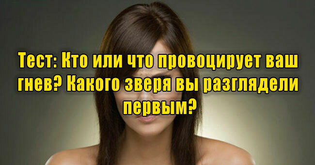 Кто или что провоцирует ваш гнев? Какого зверя вы разглядели первым?