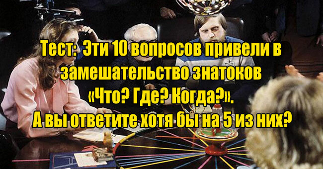 Эти 10 вопросов привели в замешательство знатоков «Что? Где? Когда?». А вы ответите хотя бы на 5 из них?