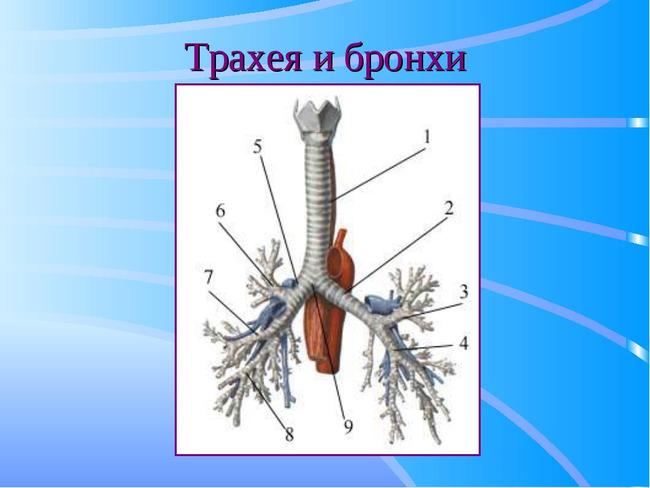 Тест - Интересный тестик!!!!