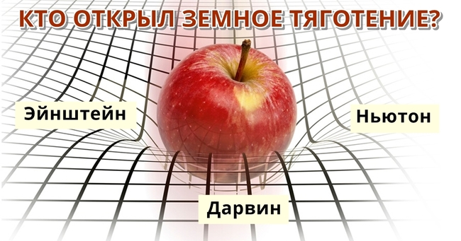 Сможете ли вы пройти выпускной экзаменационный тест?