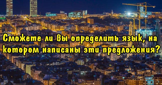 Сможете ли вы определить язык, на котором написаны эти предложения?