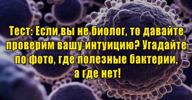 Вы не биолог? Тогда проверим вашу интуицию! Угадайте по фото, где полезные бактерии, а где нет!