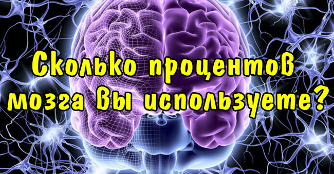 Сколько процентов мозга вы используете?